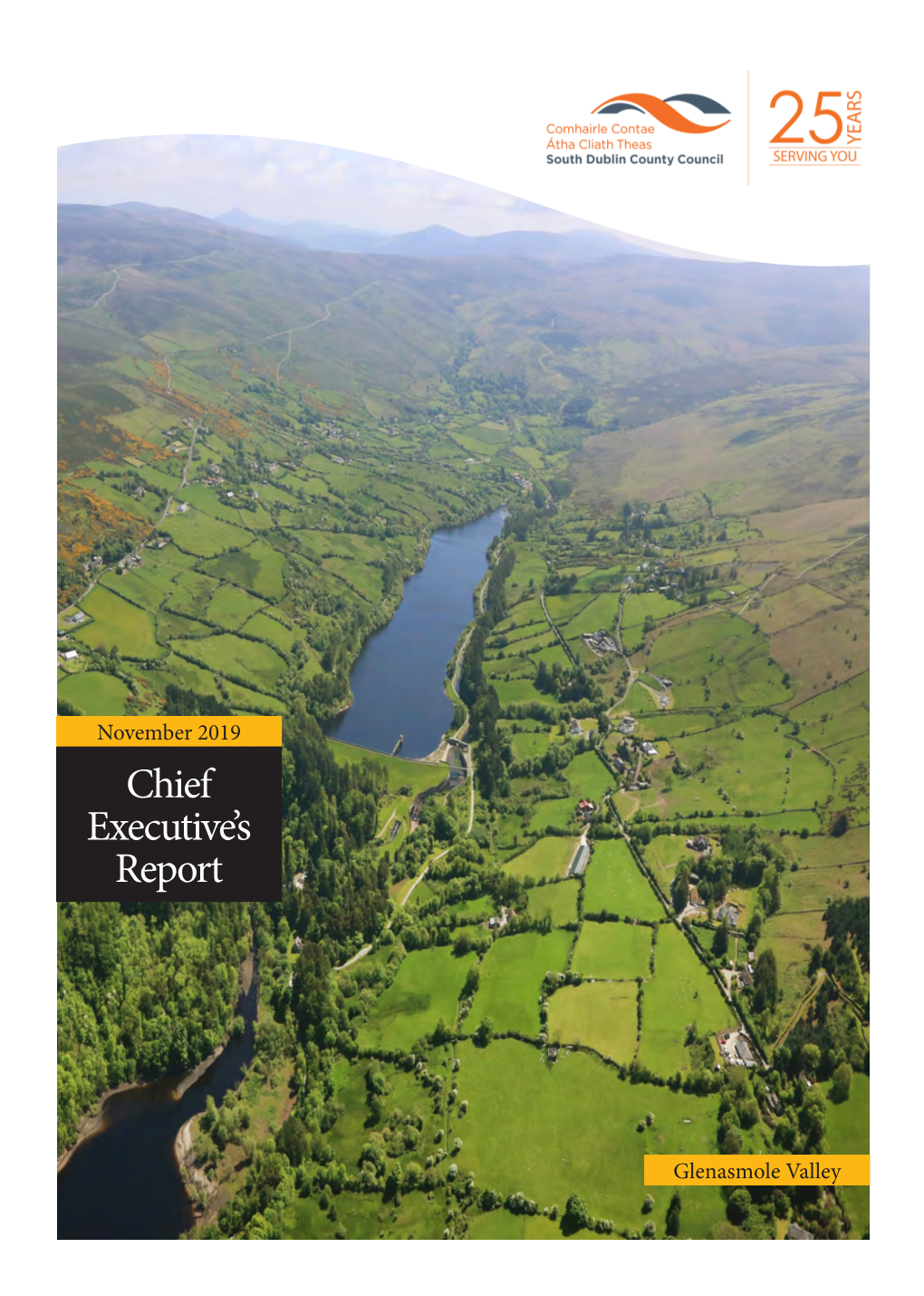 Chief Executive's Report