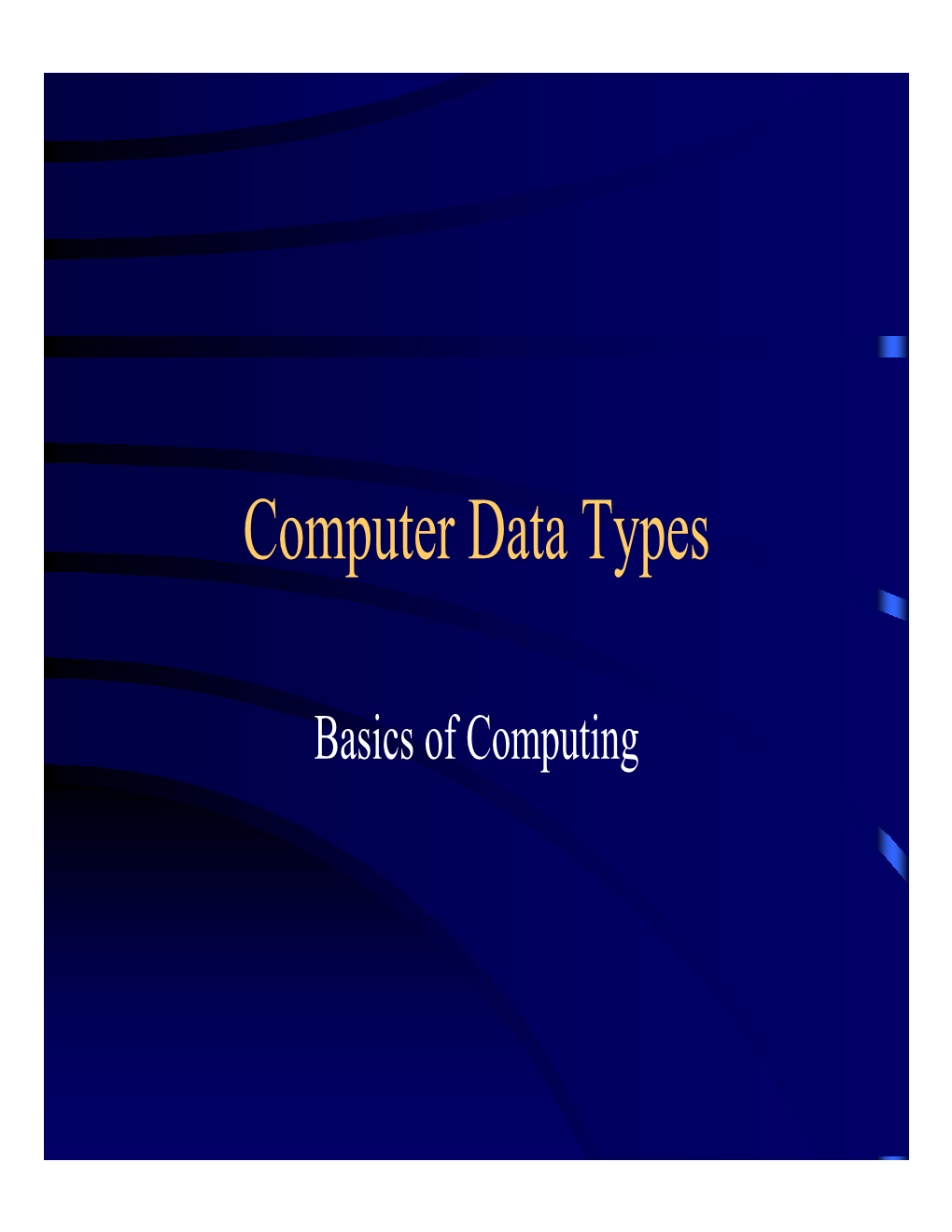Computer Data Types