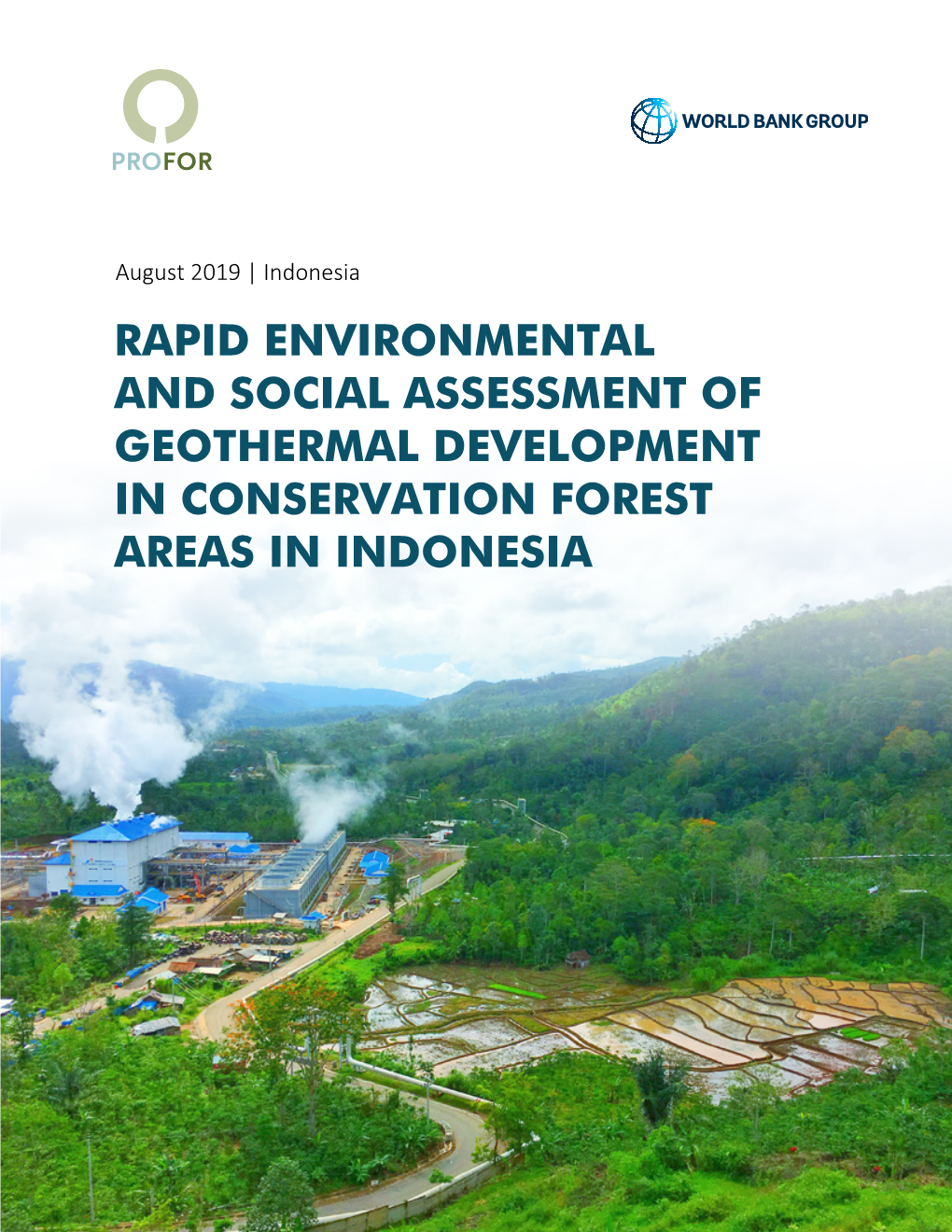 RAPID ENVIRONMENTAL and SOCIAL ASSESSMENT of GEOTHERMAL DEVELOPMENT in CONSERVATION FOREST AREAS in INDONESIA Standard Disclaimer