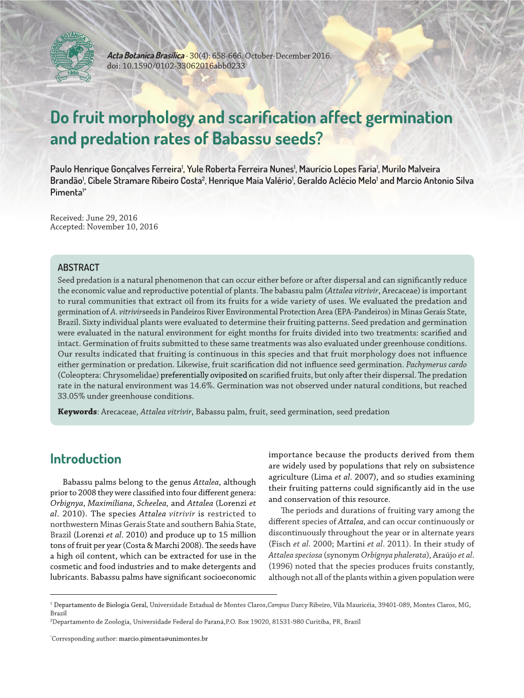 Do Fruit Morphology and Scarification Affect Germination and Predation Rates of Babassu Seeds?