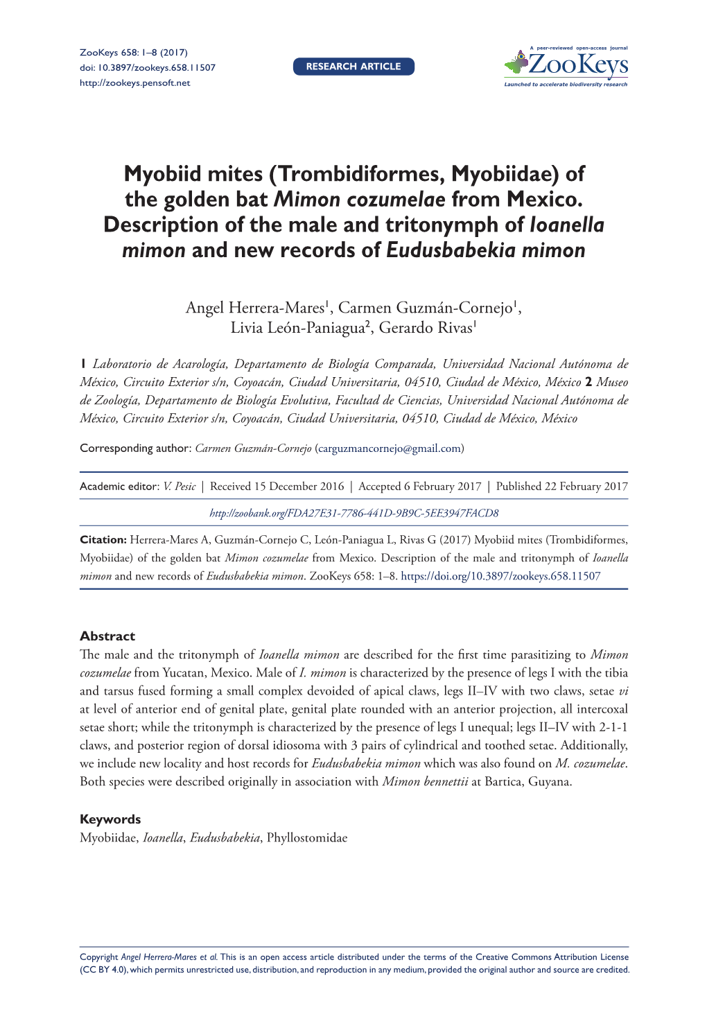 ﻿Myobiid Mites (Trombidiformes, Myobiidae) of the Golden Bat Mimon