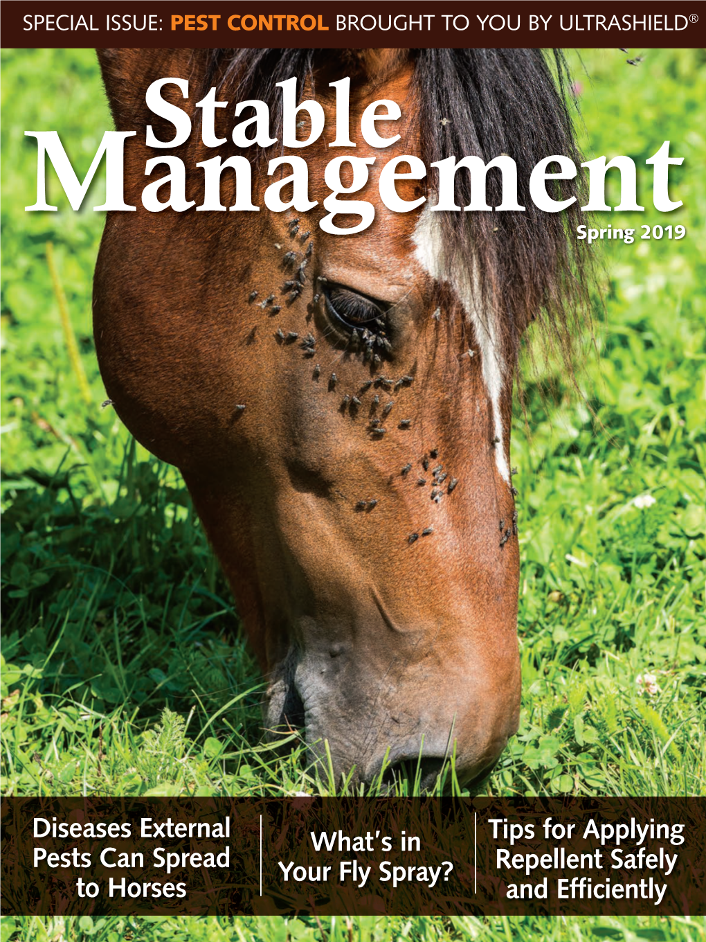 Diseases External Pests Can Spread to Horses What's in Your Fly Spray