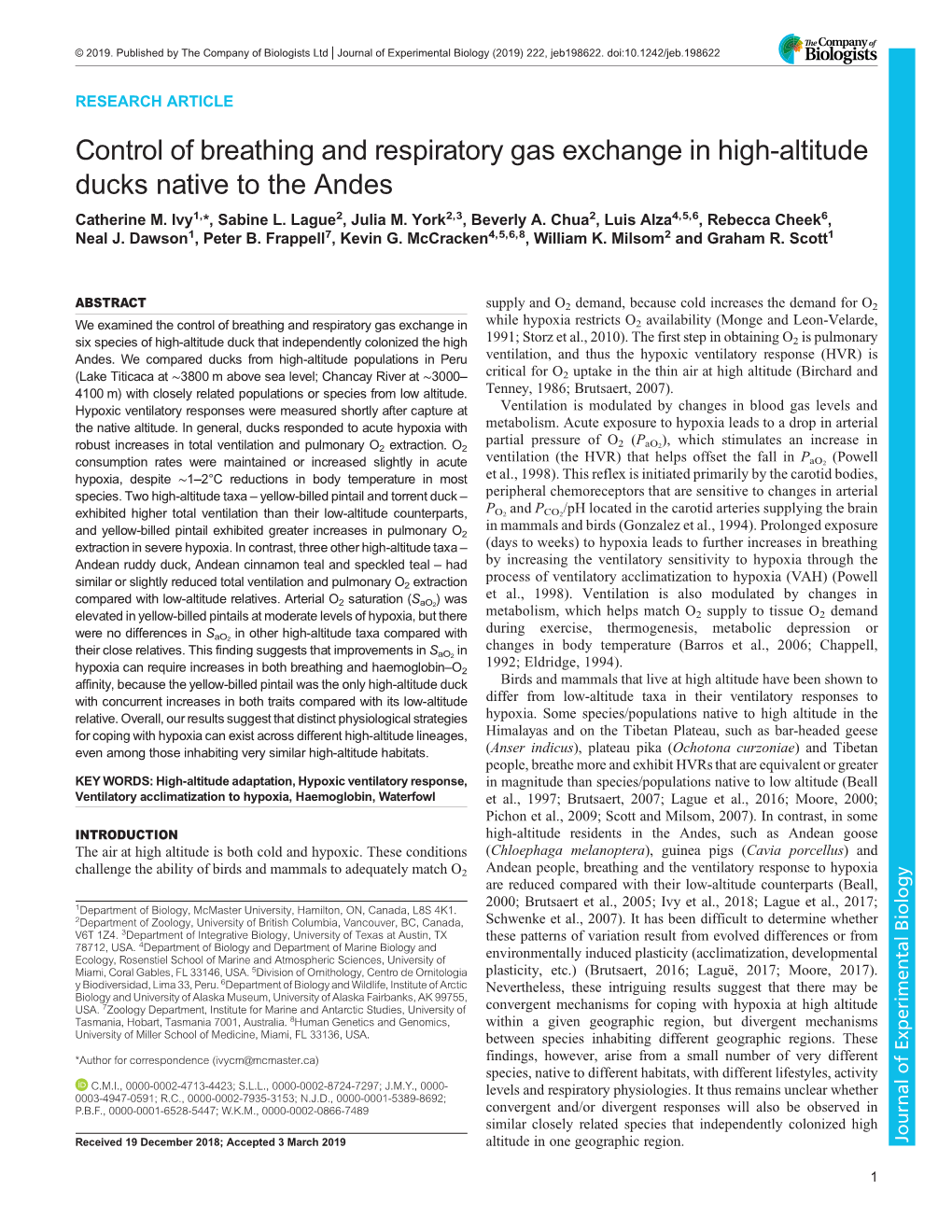 Control of Breathing and Respiratory Gas Exchange in High-Altitude Ducks Native to the Andes Catherine M