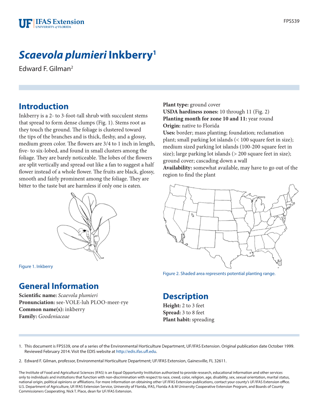 Scaevola Plumieri Inkberry1 Edward F