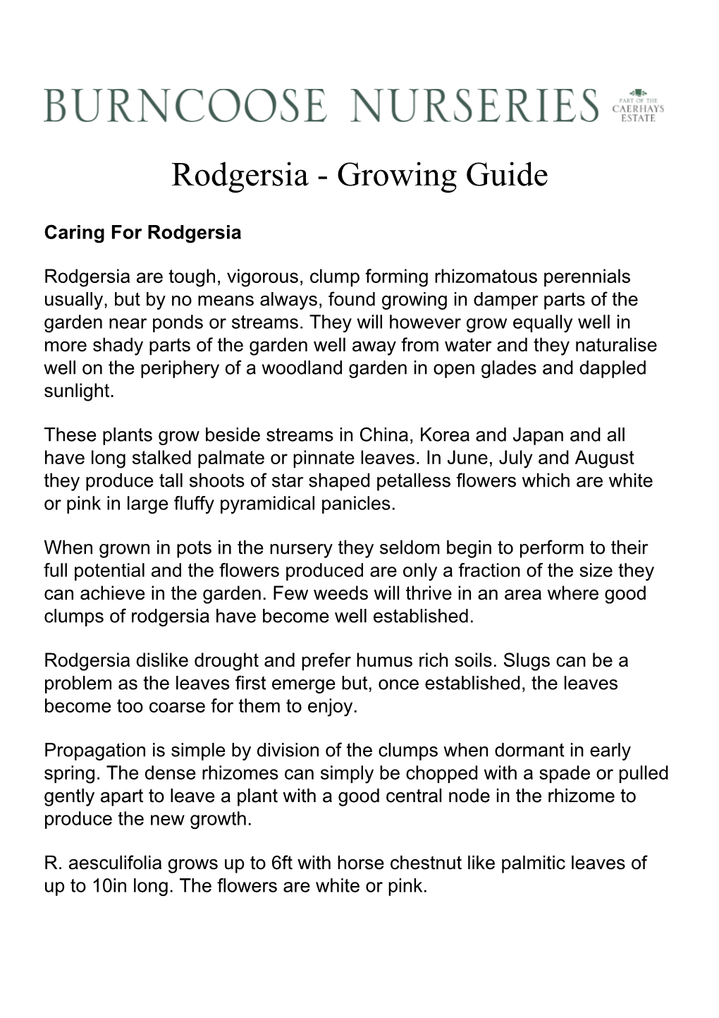 Rodgersia - Growing Guide