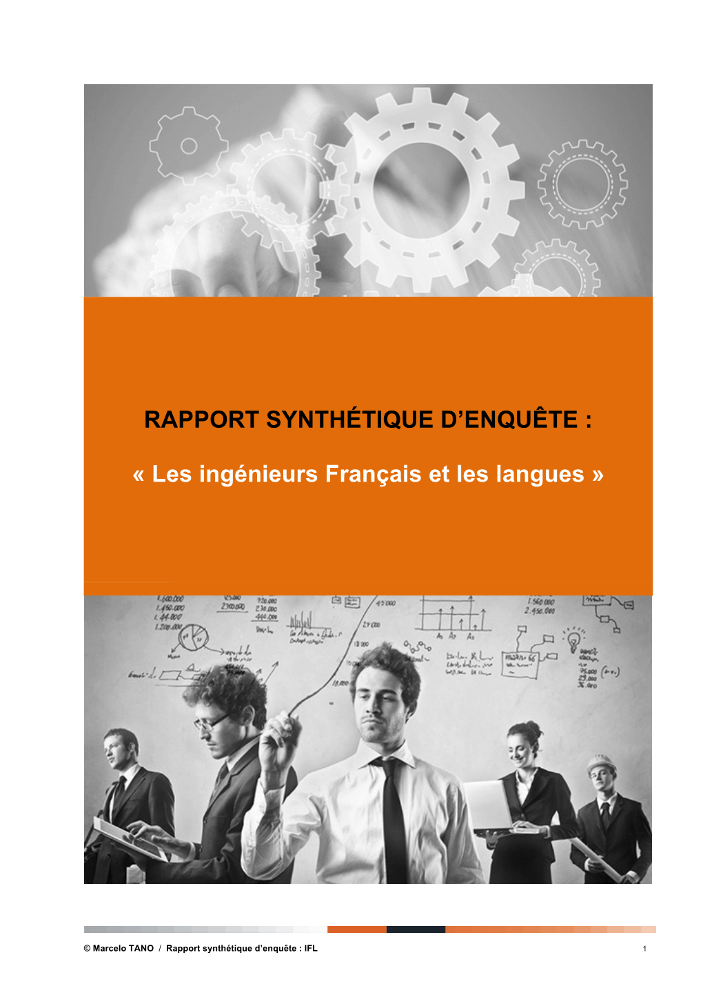 RAPPORT SYNTHÉTIQUE D'enquête : « Les Ingénieurs Français Et Les Langues