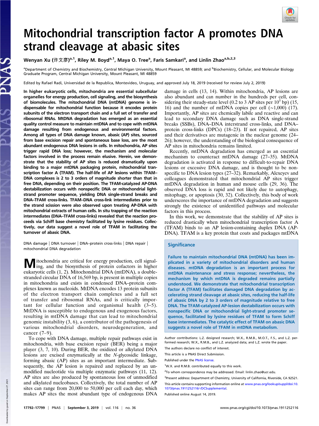 Mitochondrial Transcription Factor a Promotes DNA Strand Cleavage at Abasic Sites