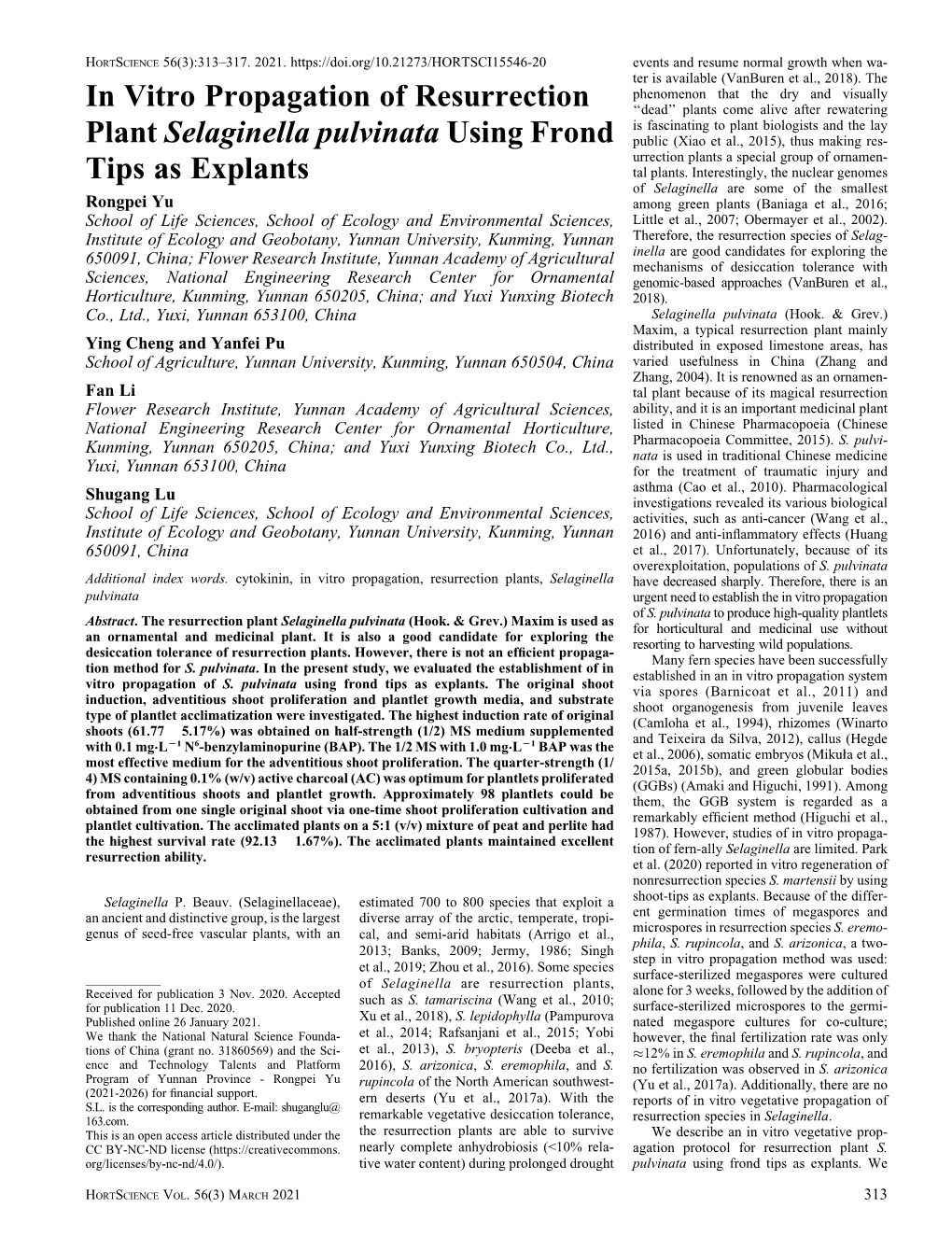 In Vitro Propagation of Resurrection Plant Selaginella Pulvinata Using