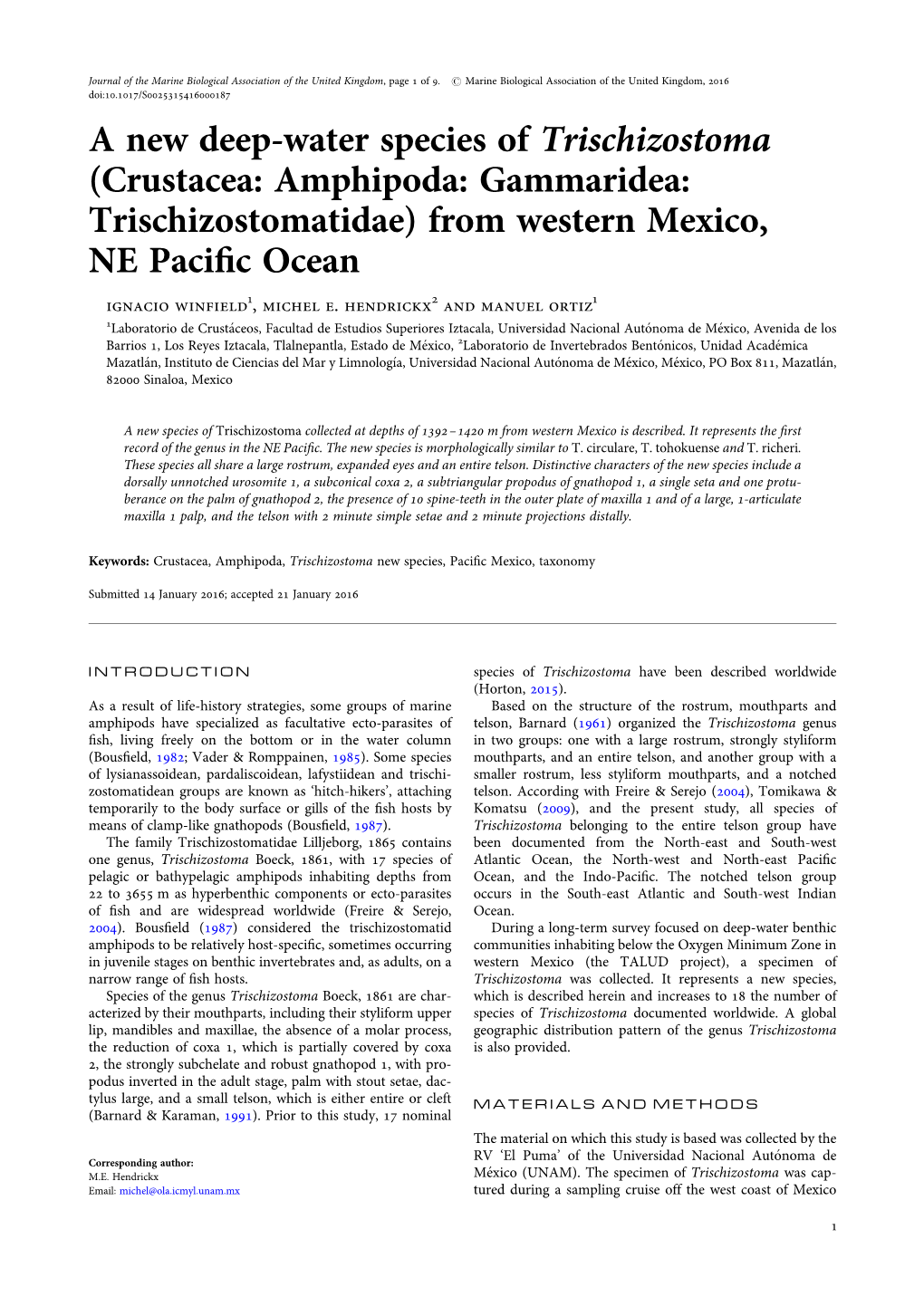 A New Deep-Water Species of Trischizostoma (Crustacea: Amphipoda: Gammaridea: Trischizostomatidae) from Western Mexico, NE Paciﬁc Ocean Ignacio Winfield1, Michel E