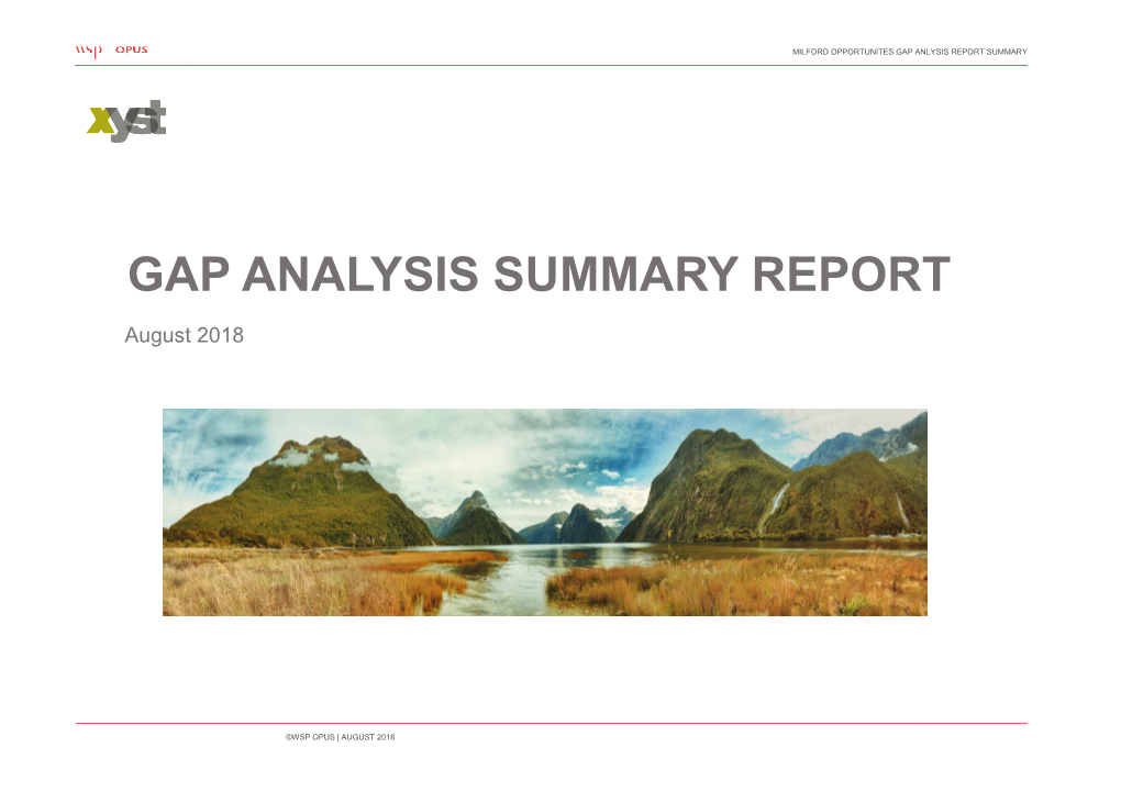 Gap Analysis Summary Document