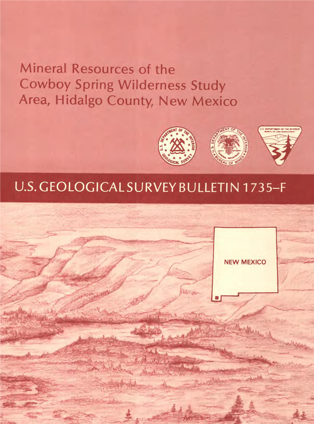 Mineral Resources of the Cowboy Spring Wilderness Study Area, Hidalgo County, New Mexico