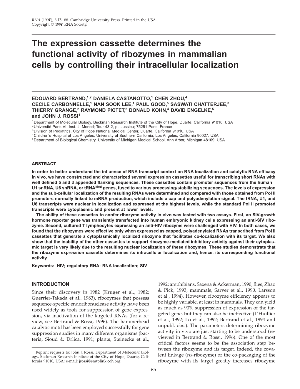 The Expression Cassette Determines the Functional Activity of Ribozymes in Mammalian Cells by Controlling Their Intracellular Localization