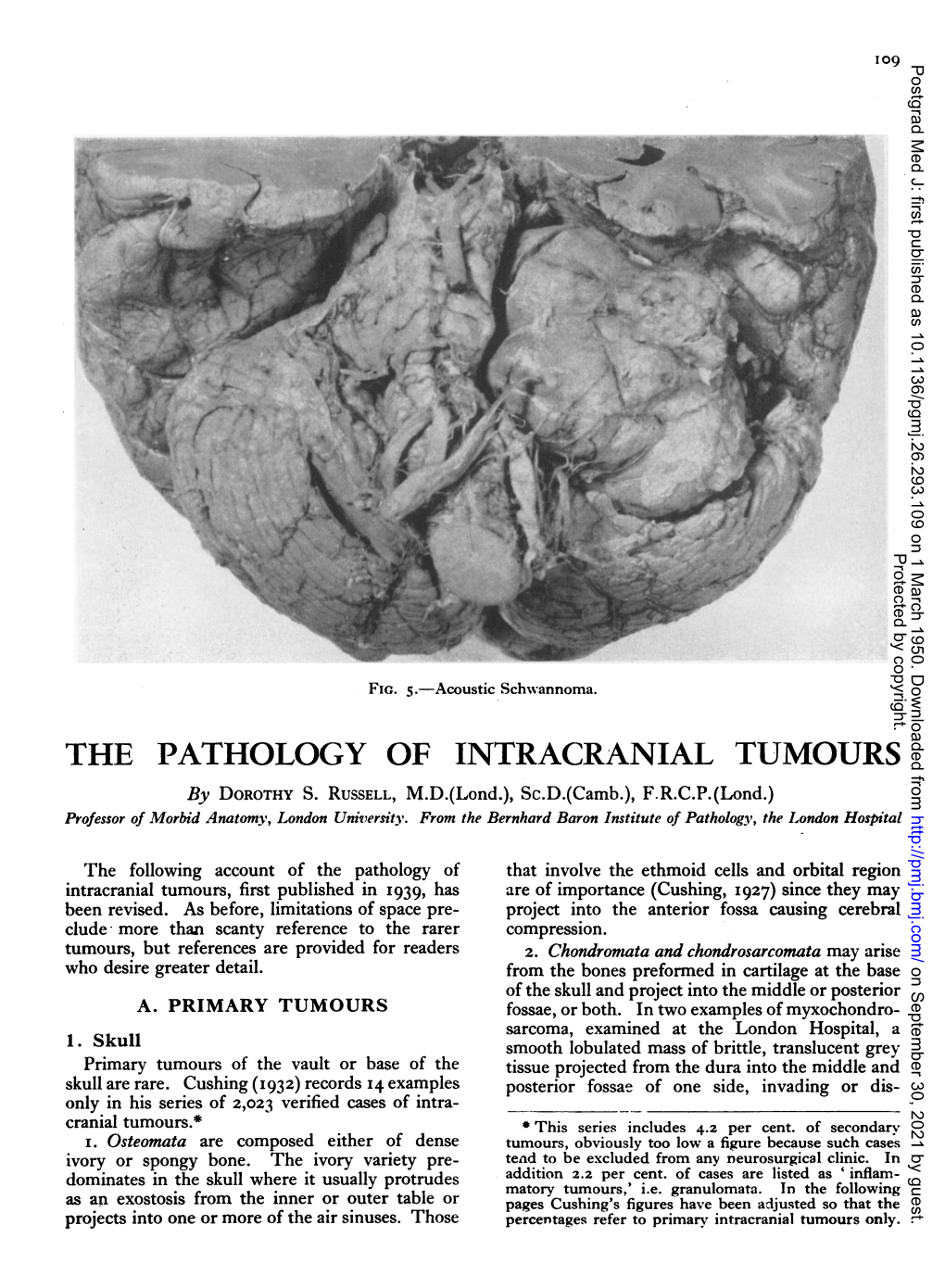 THE PATHOLOGY of INTRACRANIAL TUMOURS by DOROTHY S