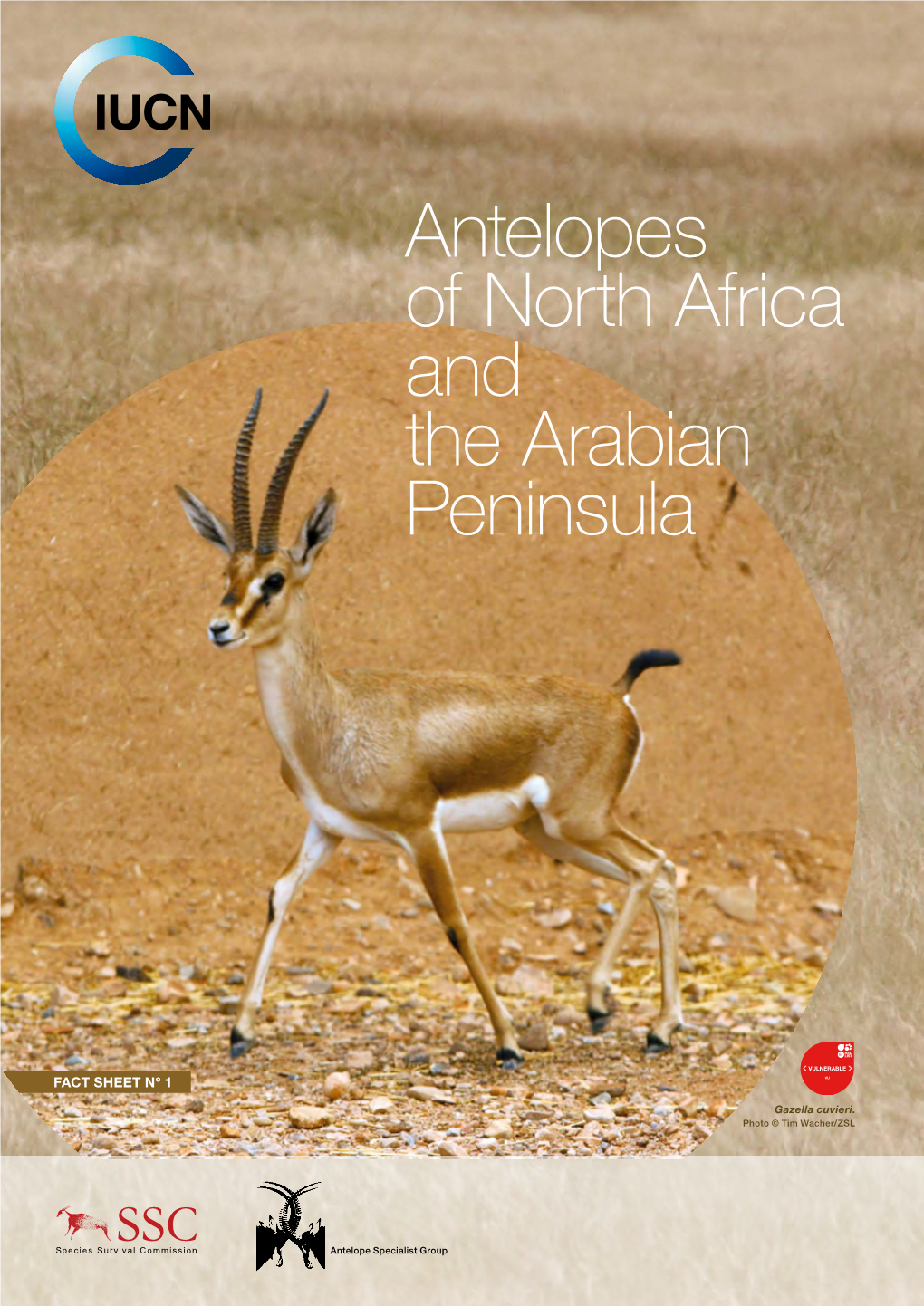 Antelopes of North Africa and the Arabian Peninsula