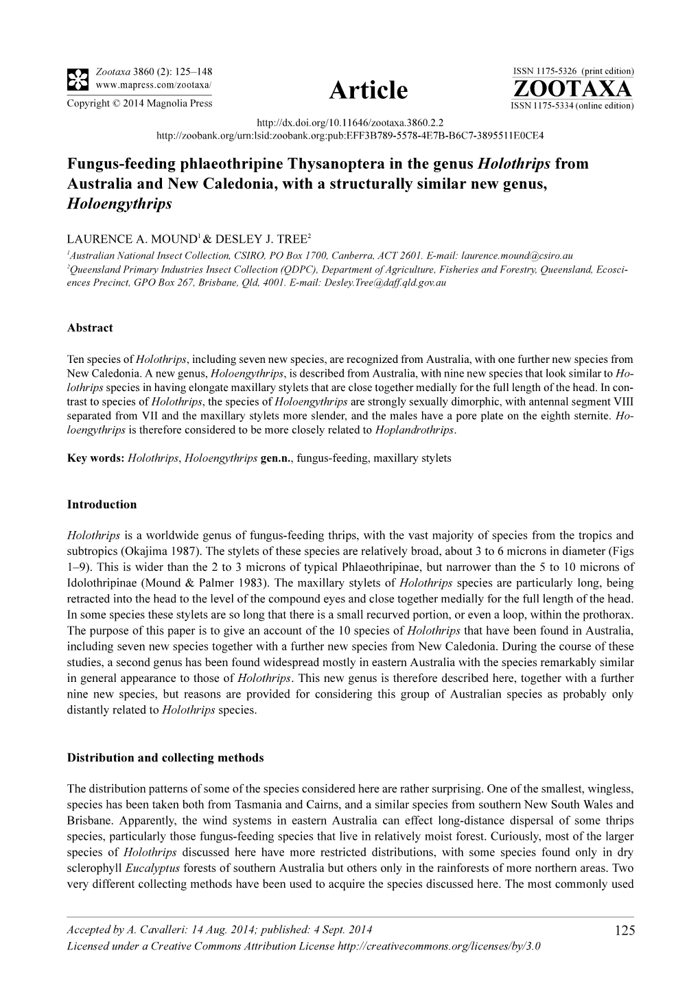 Fungus-Feeding Phlaeothripine Thysanoptera in the Genus Holothrips from Australia and New Caledonia, with a Structurally Similar New Genus, Holoengythrips