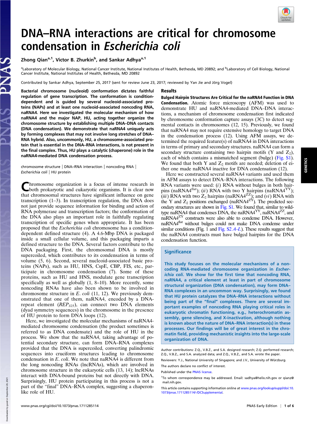 DNA–RNA Interactions Are Critical for Chromosome Condensation in Escherichia Coli