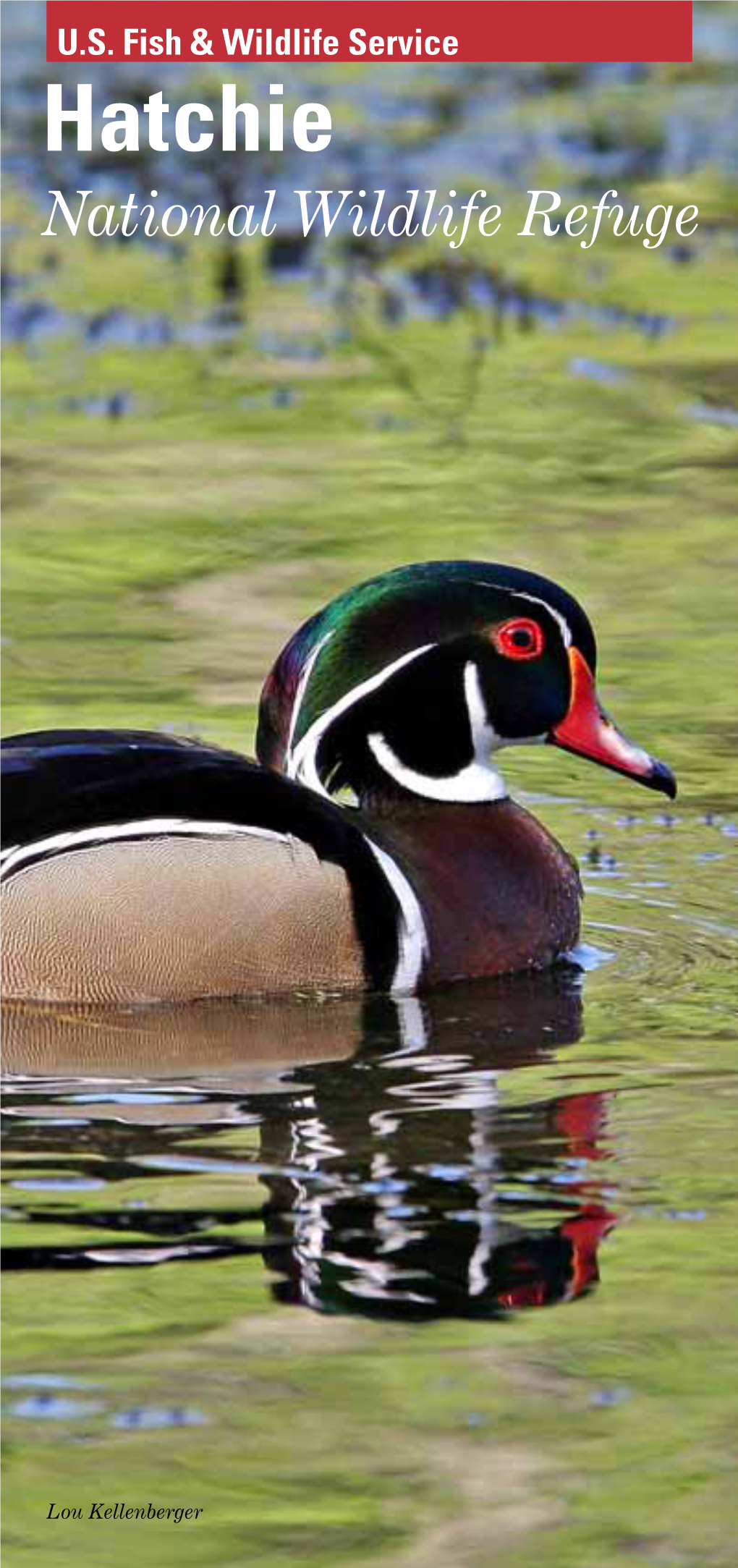 Hatchie National Wildlife Refuge