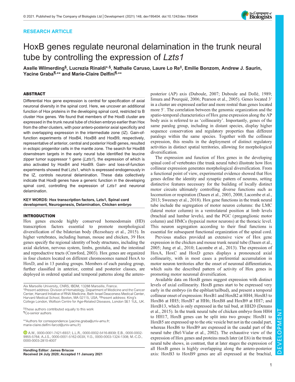 Hoxb Genes Regulate Neuronal Delamination in the Trunk Neural