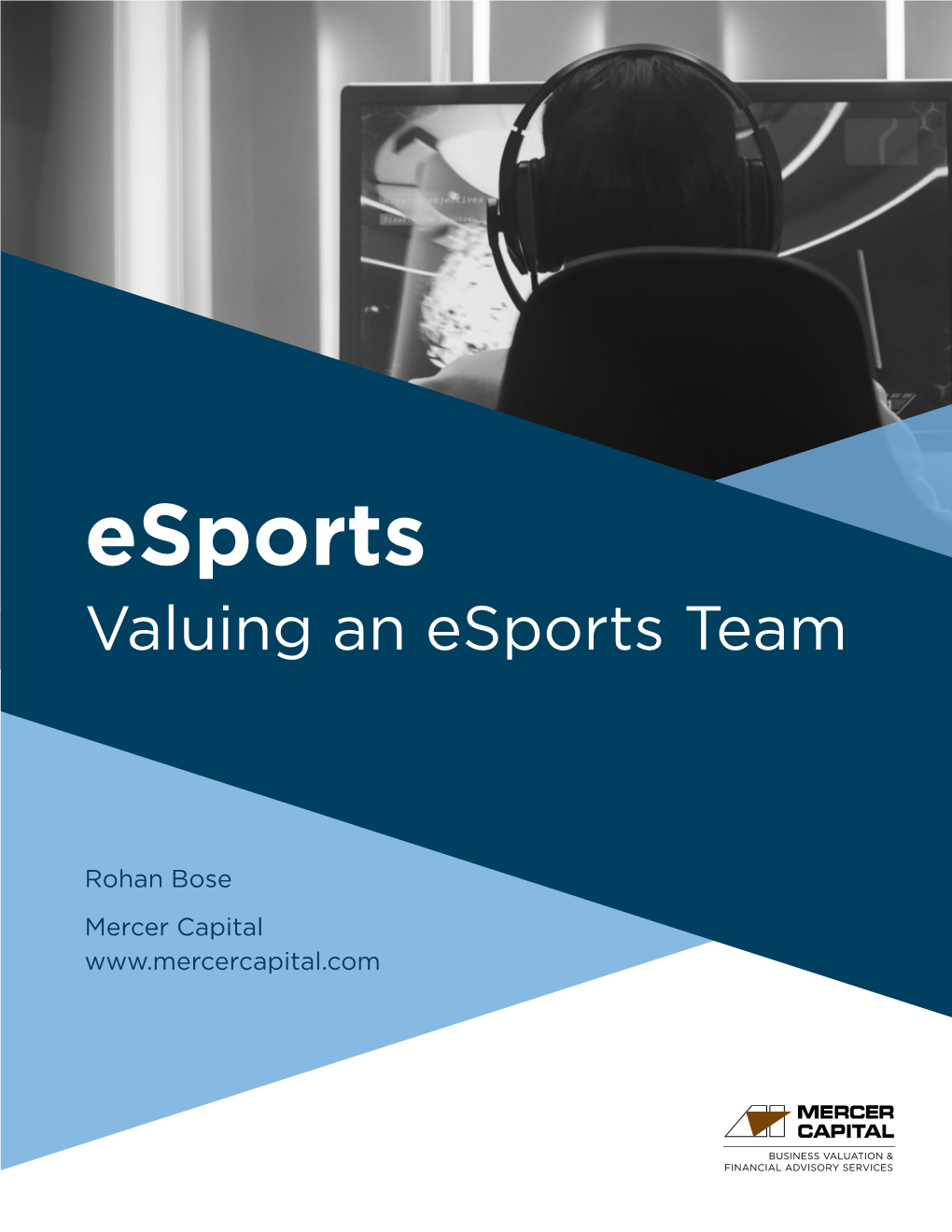 Valuing an Esports Team