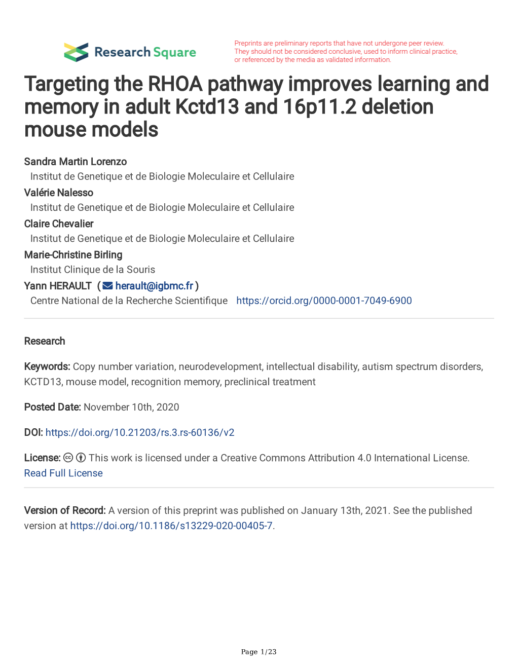 Targeting the RHOA Pathway Improves Learning and Memory in Adult Kctd13 and 16P11.2 Deletion Mouse Models