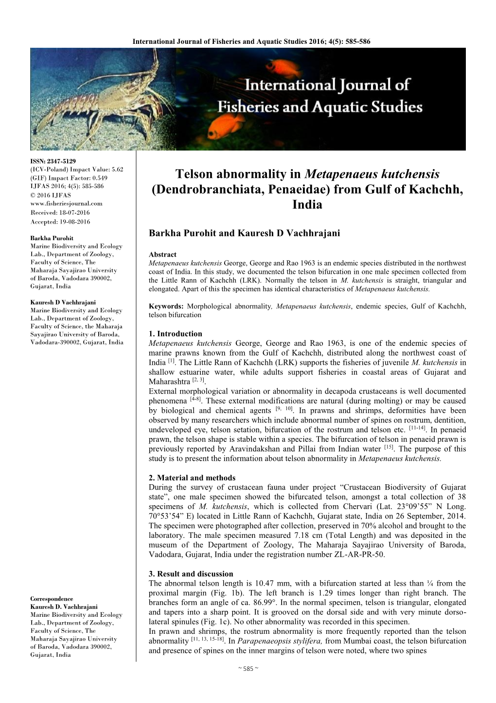 Telson Abnormality in Metapenaeus Kutchensis