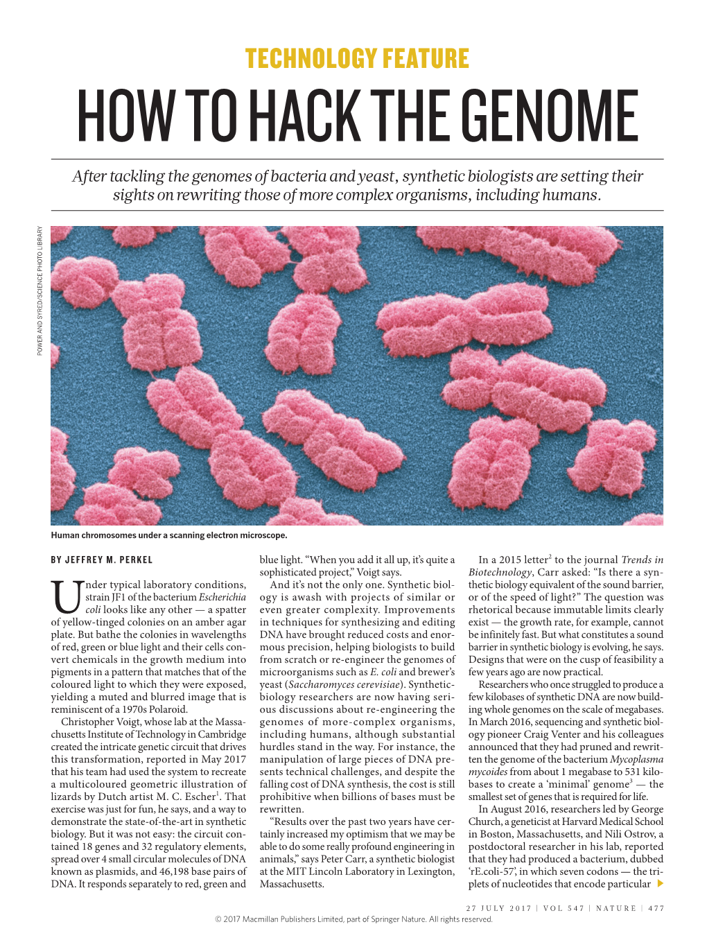 How to Hack the Genome