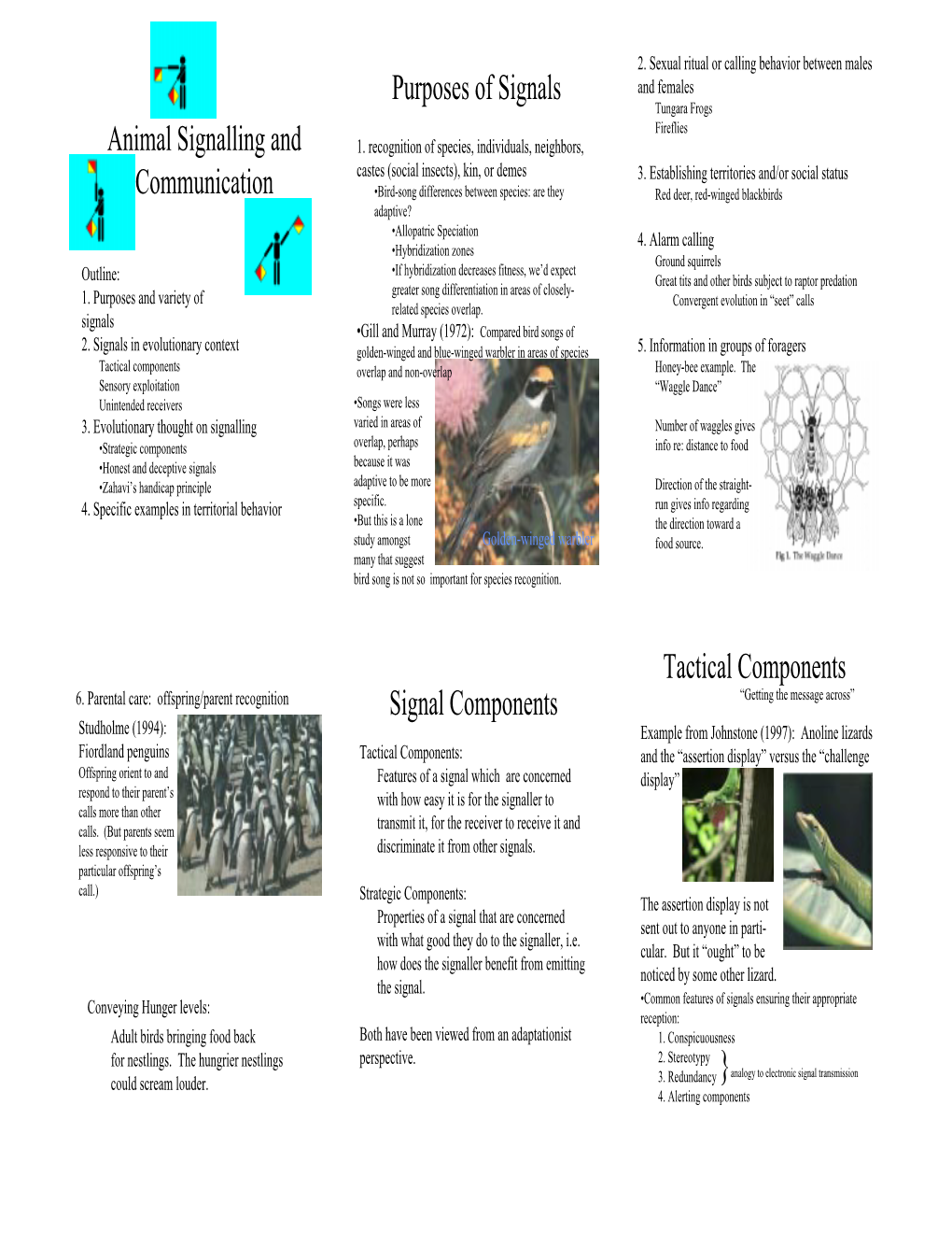 Animal Signalling and Communication Purposes of Signals Signal Components Tactical Components