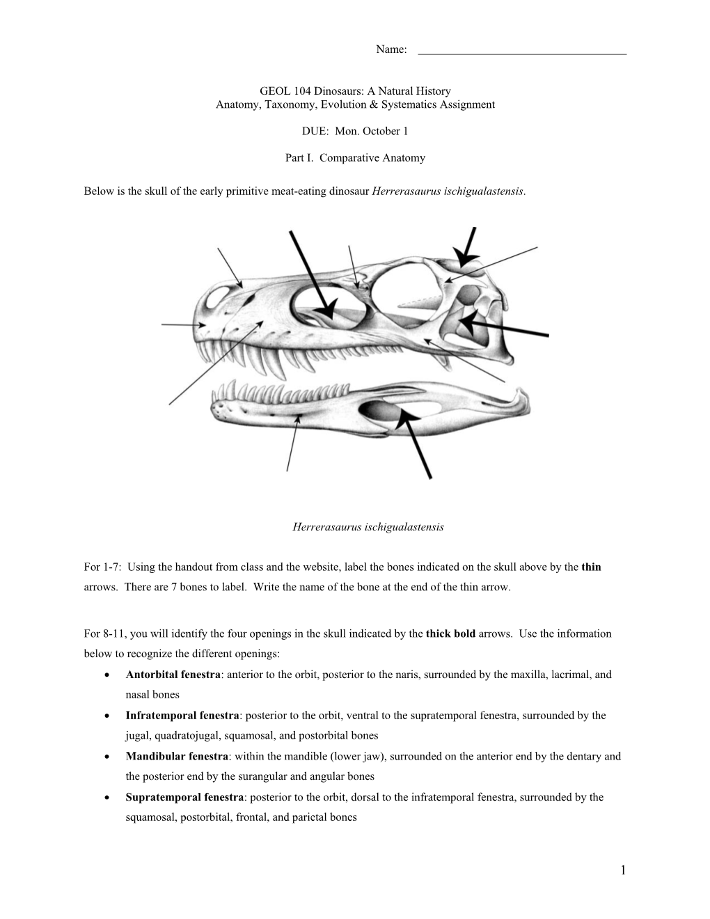 GEOL 104 Dinosaurs: a Natural History Anatomy, Taxonomy, Evolution & Systematics Assignment