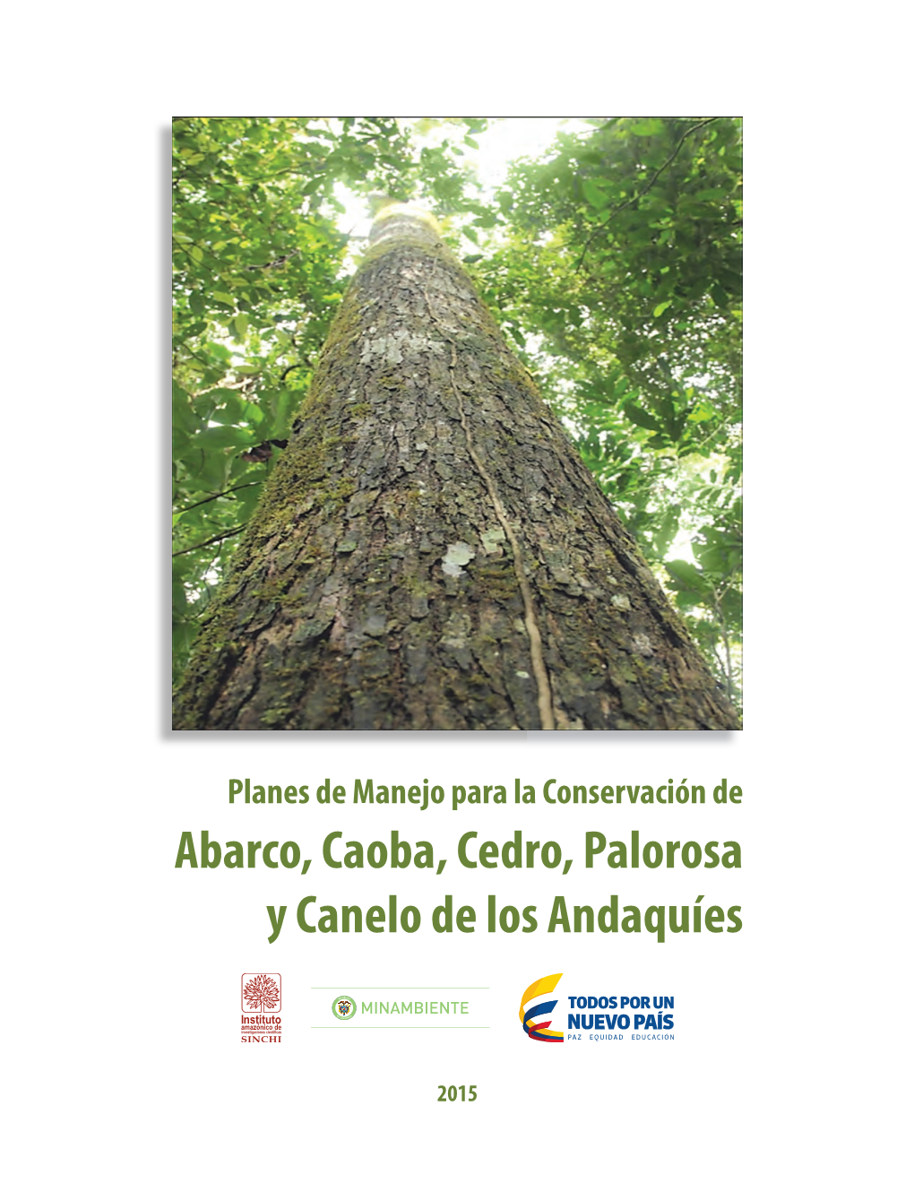 Plan De Manejo Para La Conservación De Abarco, Caoba, Cedro, Palorosa