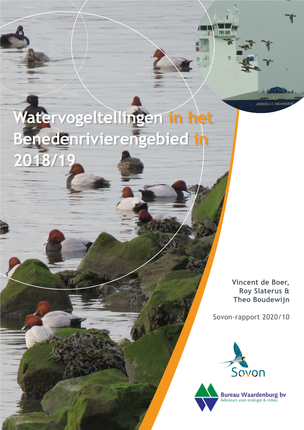 Watervogeltellingen in Het Benedenrivierengebied in 2018/19