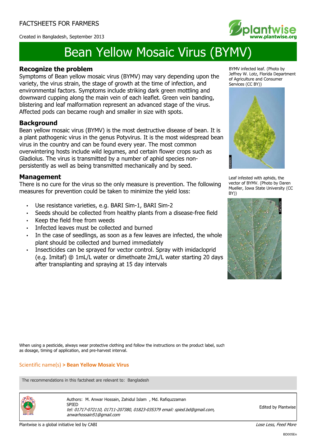 Bean Yellow Mosaic Virus (BYMV)