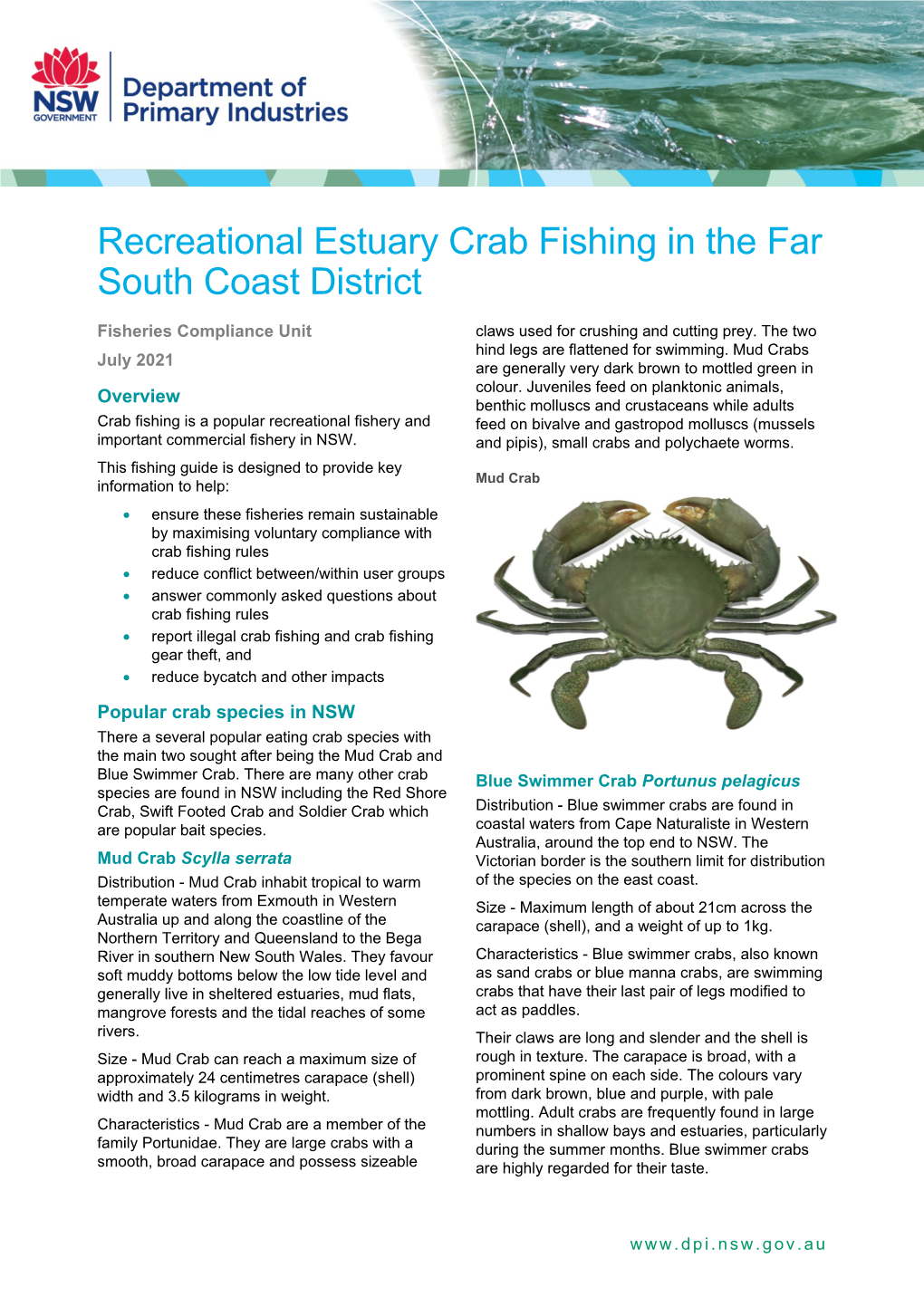 Recreational Estuary Crab Fishing in the Far South Coast District