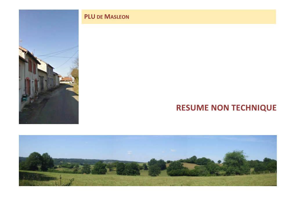 Resume Non Technique