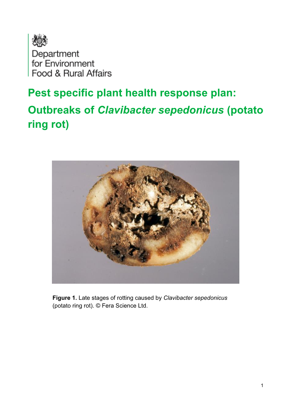 Pest Specific Plant Health Response Plan: Outbreaks of Clavibacter Sepedonicus (Potato Ring Rot)