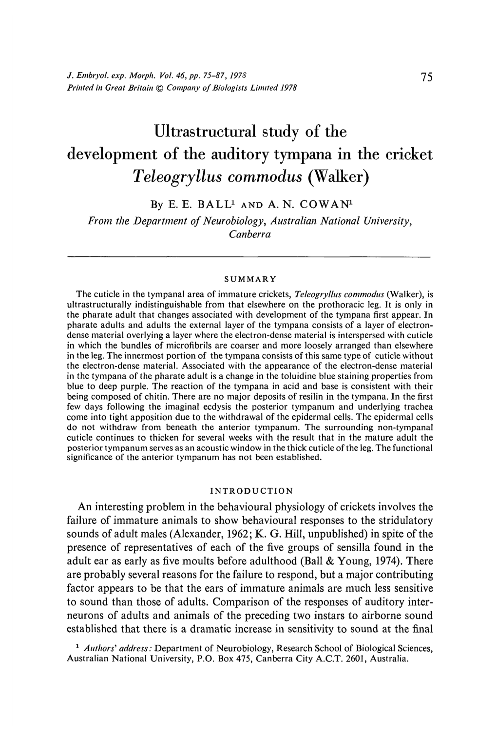 Ultrastructural Study of the Development of the Auditory Tympana in the Cricket Teleogryllus Commodus (Walker)