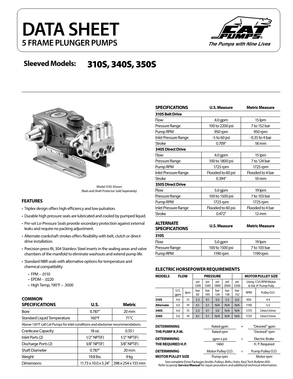 Data Sheet 5 Frame Plunger Pumps