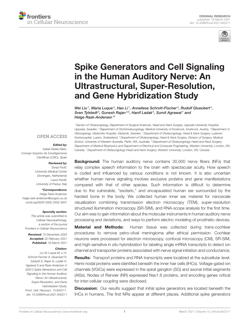 Spike Generators and Cell Signaling in the Human Auditory Nerve: an Ultrastructural, Super-Resolution, and Gene Hybridization Study