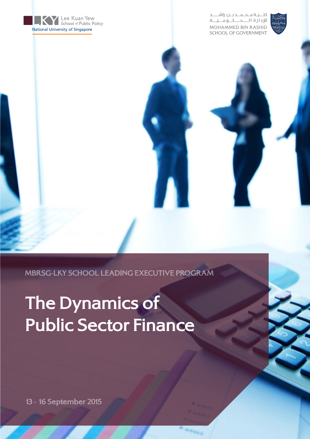 The Dynamics of Public Sector Finance