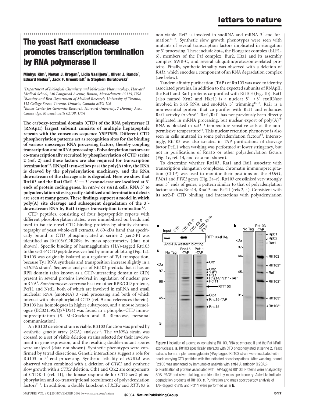 The Yeast Rat1 Exonuclease Promotes Transcription Termination by RNA