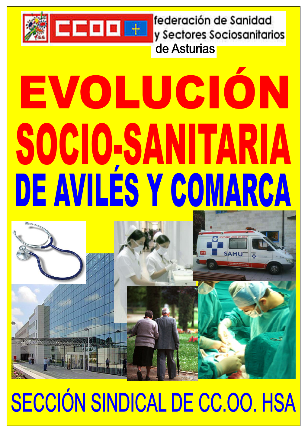 Evolución Socio- Sanitaria De Avilés Y Comarca