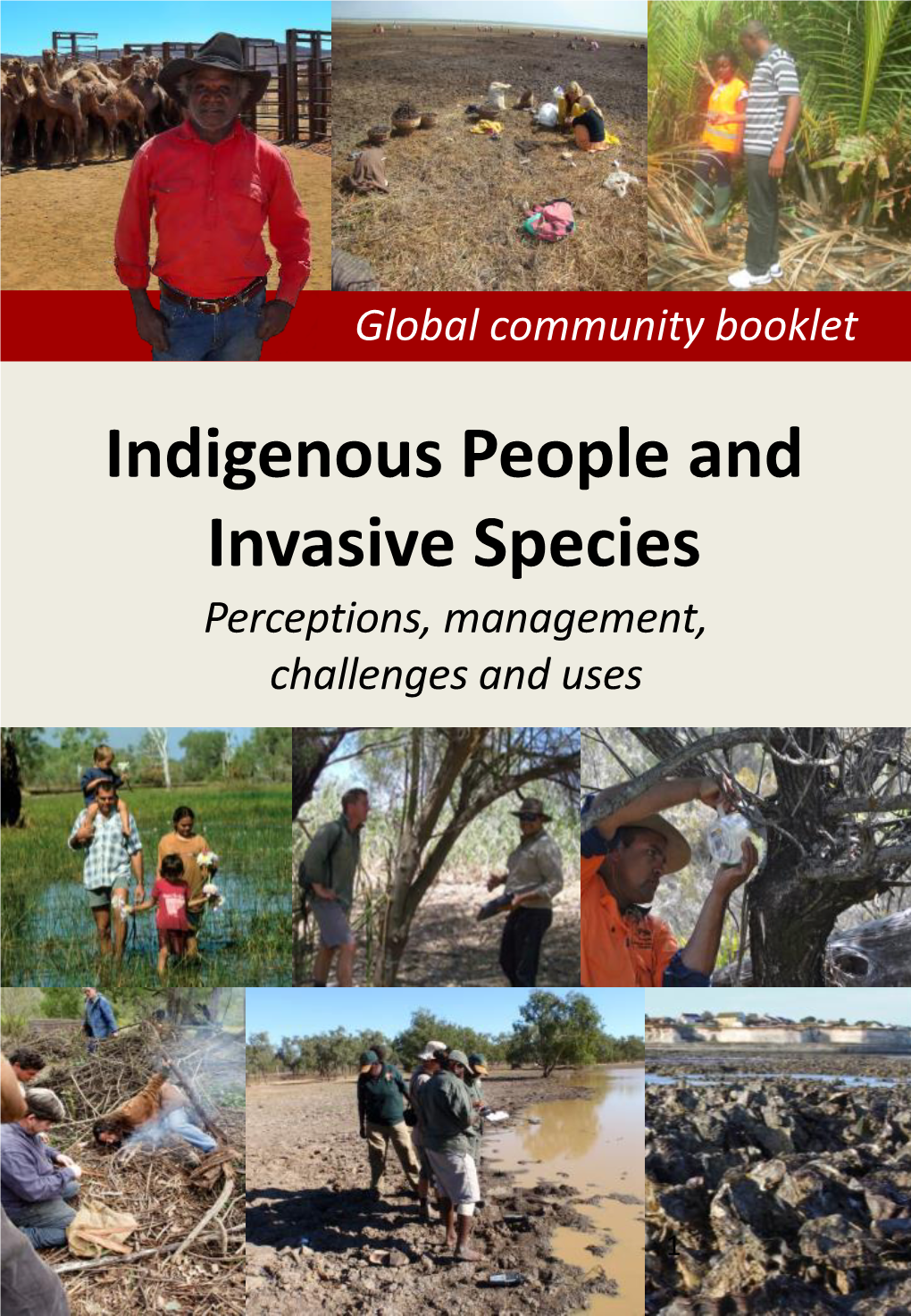 Indigenous People and Invasive Species Perceptions, Management, Challenges and Uses