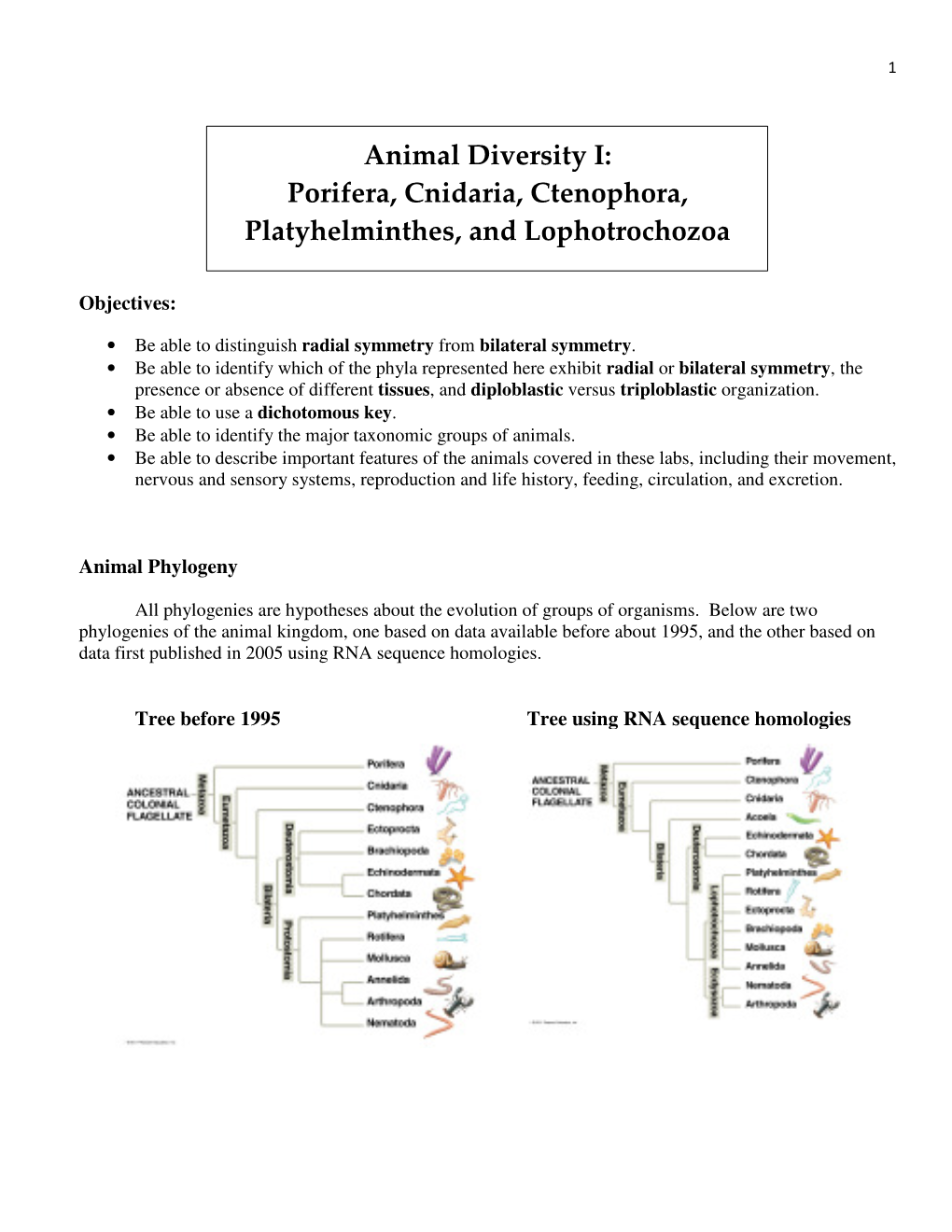 Animal Diversity I: Porifera, Cnidaria, Ctenophora, Platyhelminthes, and Lophotrochozoa