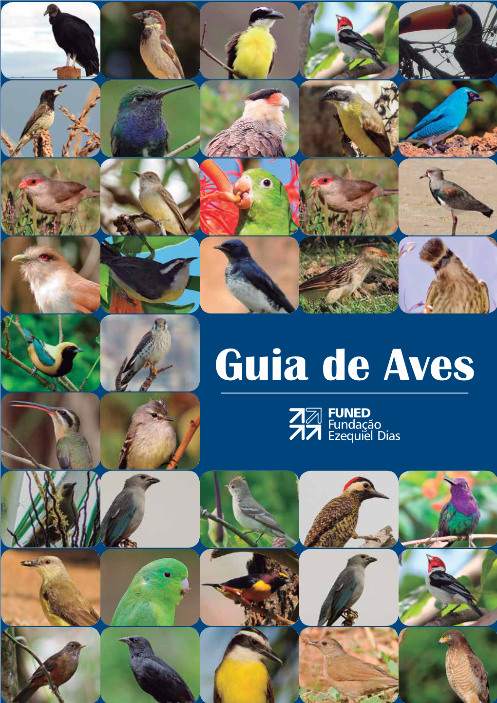 Guia De Aves Da Funed Ricardo Maciel