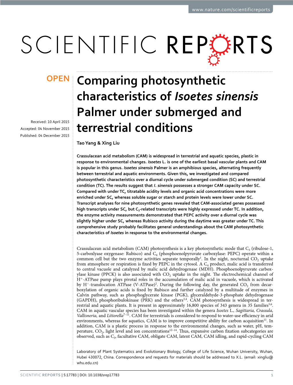 Comparing Photosynthetic Characteristics of Isoetes Sinensis Palmer Under Submerged and Terrestrial Conditions