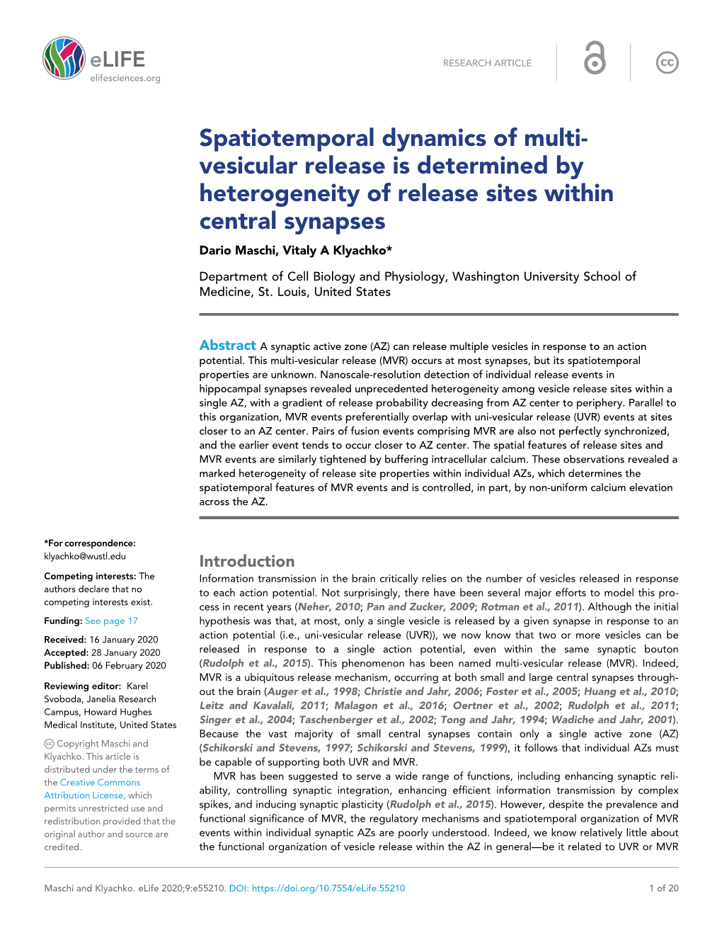 Spatiotemporal Dynamics of Multi- Vesicular Release Is Determined by Heterogeneity of Release Sites Within Central Synapses Dario Maschi, Vitaly a Klyachko*