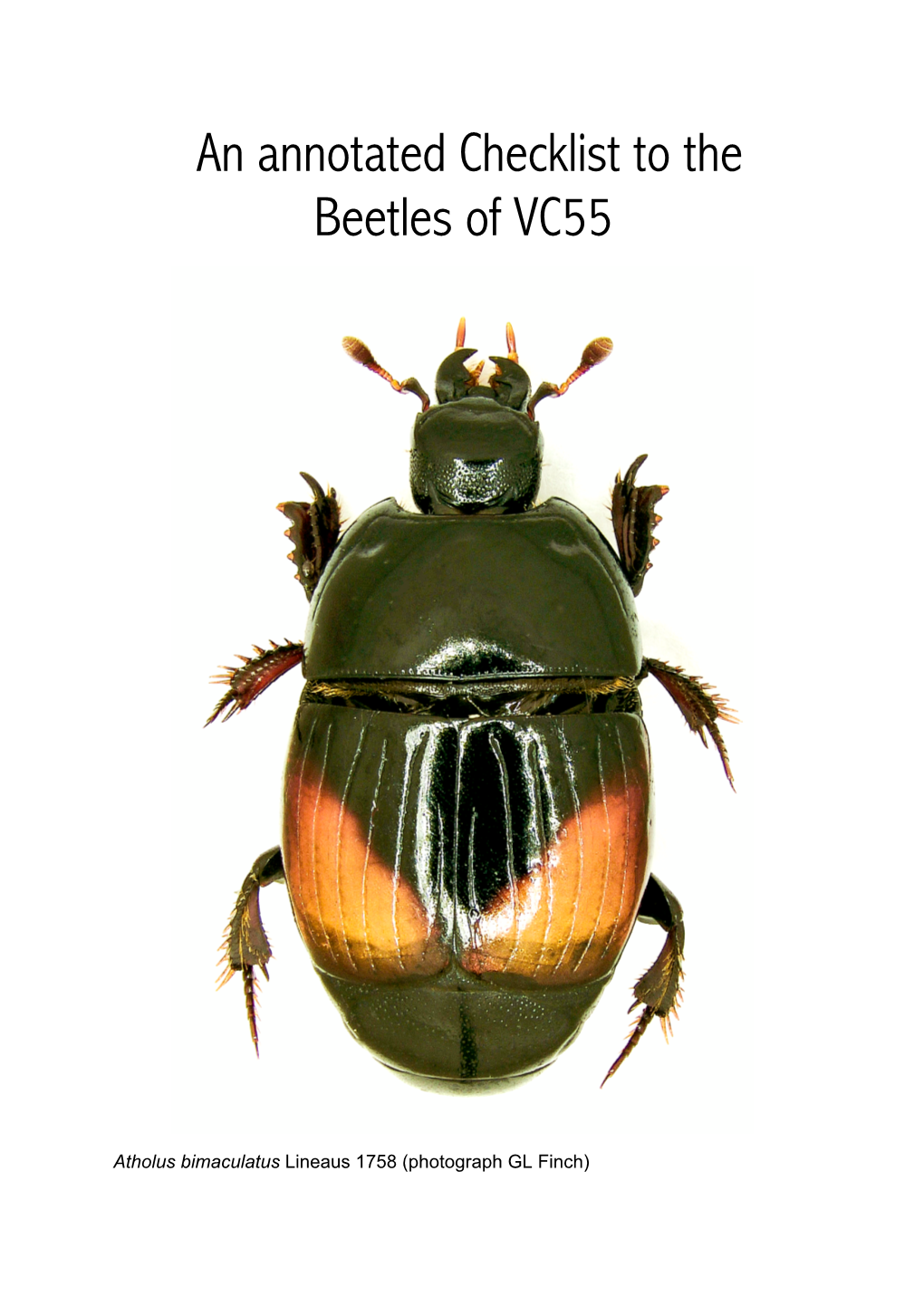 An Annotated Checklist to the Beetles of VC55