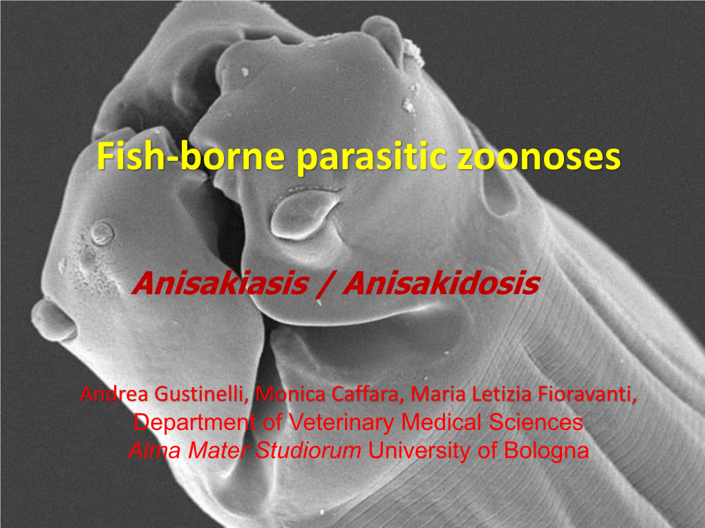 Anisakiasis / Anisakidosis