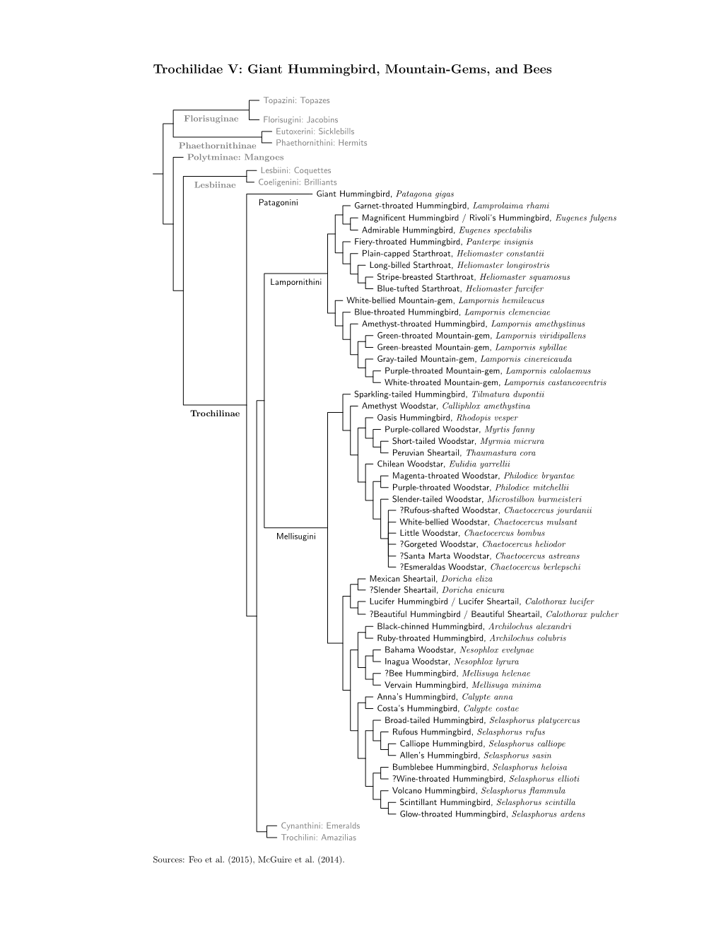 Mtn.Gems and Bees Species Tree