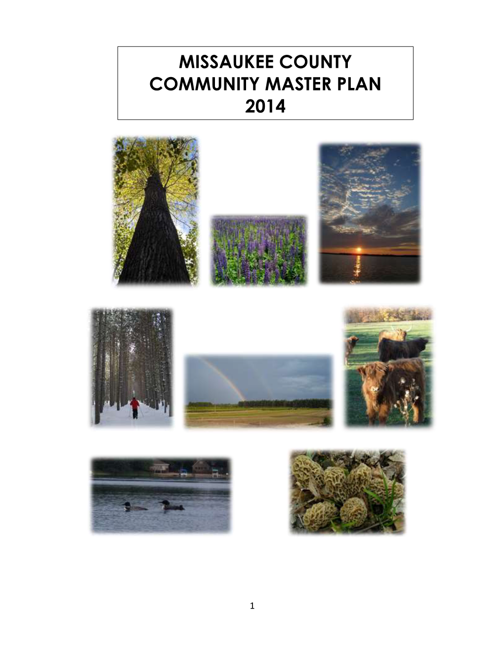 Missaukee County Community Master Plan 2014