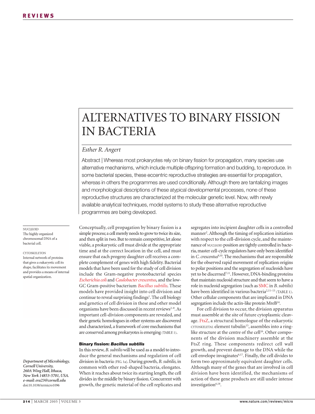 Alternatives to Binary Fission in Bacteria